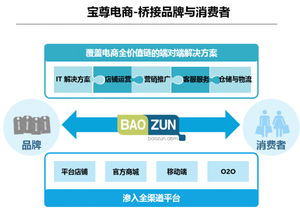 寶尊攜手希杰重構(gòu)電商版圖 安全咨詢撬動(dòng)萬(wàn)億市場(chǎng)新機(jī)遇